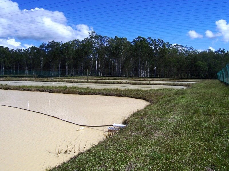 Wolvi QLD 4570