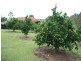 Chatsworth QLD 4570