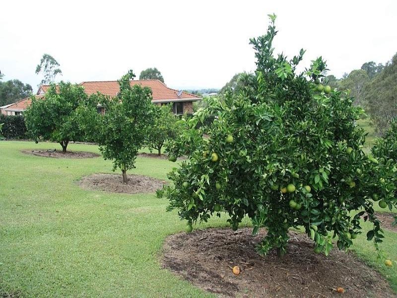 Chatsworth QLD 4570