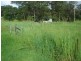 Wolvi QLD 4570