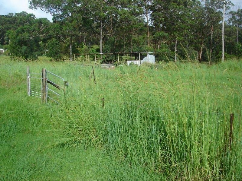 Wolvi QLD 4570