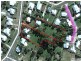 41-41A Louisa Street, Gympie QLD 4570