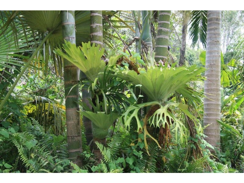 82 Francis Road, Kin Kin QLD 4571