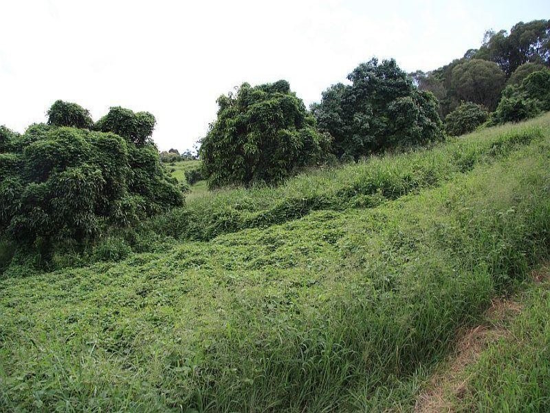 Scrubby Creek QLD 4478