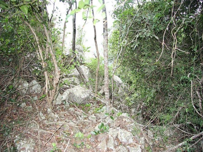 Scrubby Creek QLD 4478