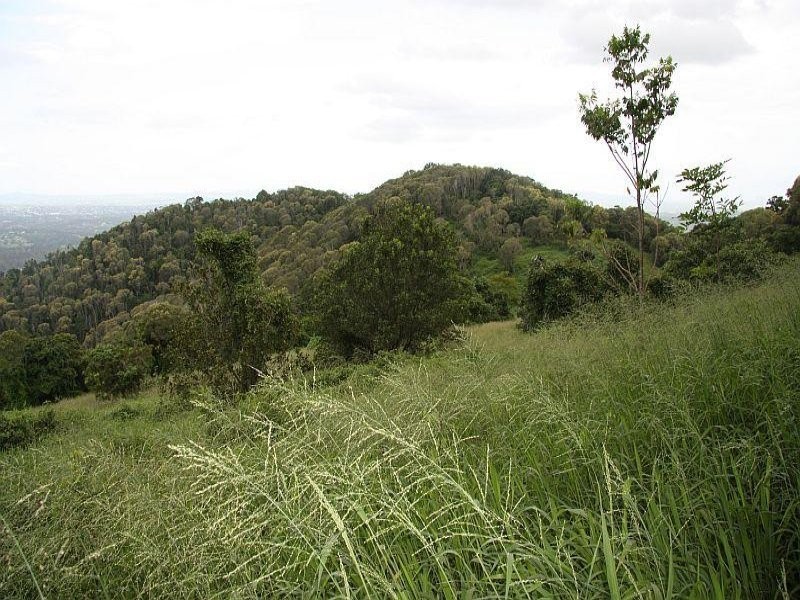 Scrubby Creek QLD 4478