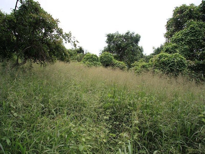 Scrubby Creek QLD 4478