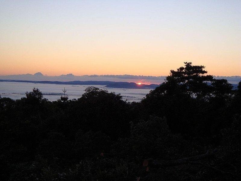 Scrubby Creek QLD 4478