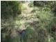 Curra QLD 4570