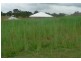 42 Directors Circuit, Jones Hill QLD 4570