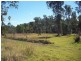 Mothar Mountain QLD 4570