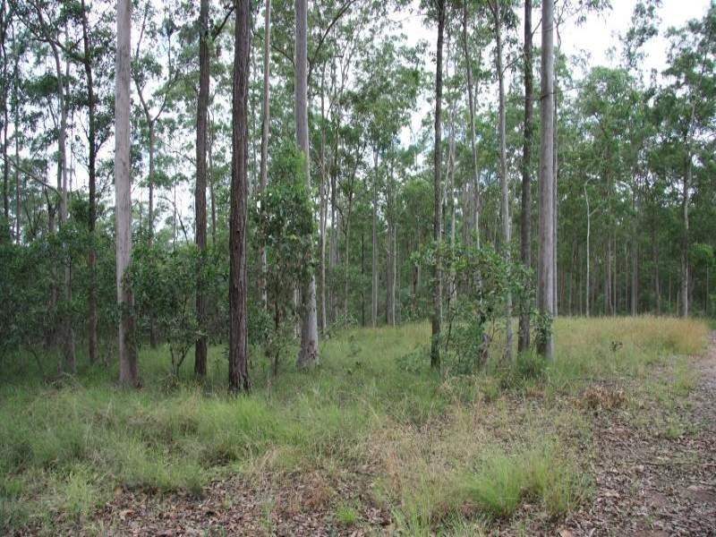 Tamaree QLD 4570