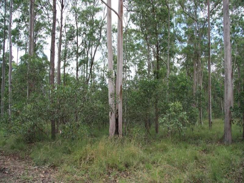 Tamaree QLD 4570