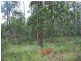 Tamaree QLD 4570