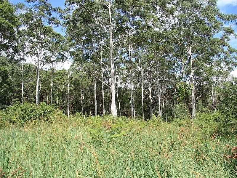 Wolvi QLD 4570