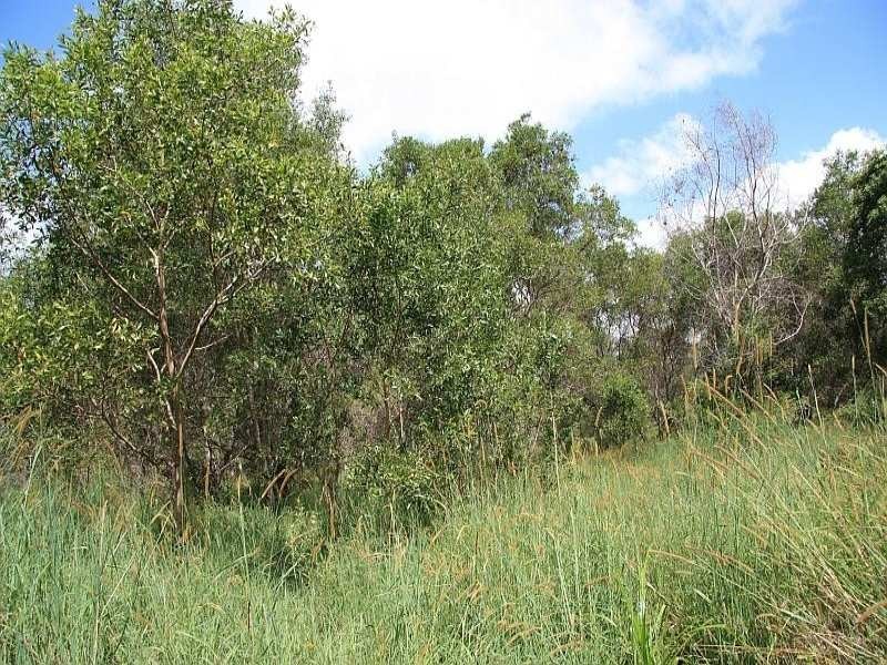 Wolvi QLD 4570