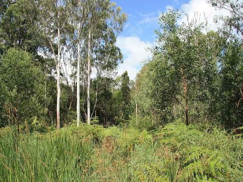 Wolvi QLD 4570