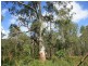 Wolvi QLD 4570