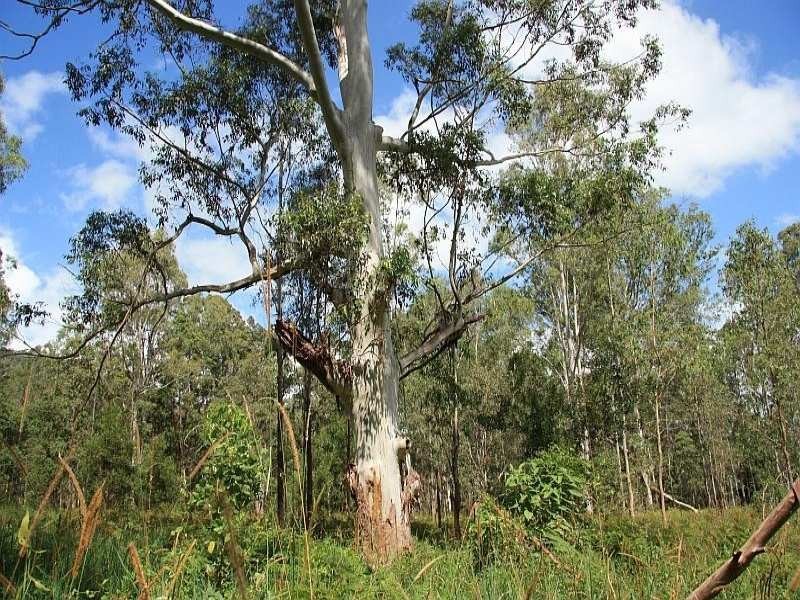 Wolvi QLD 4570