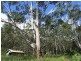 Wolvi QLD 4570