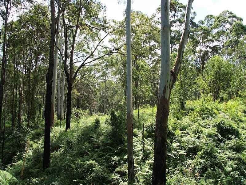 Wolvi QLD 4570