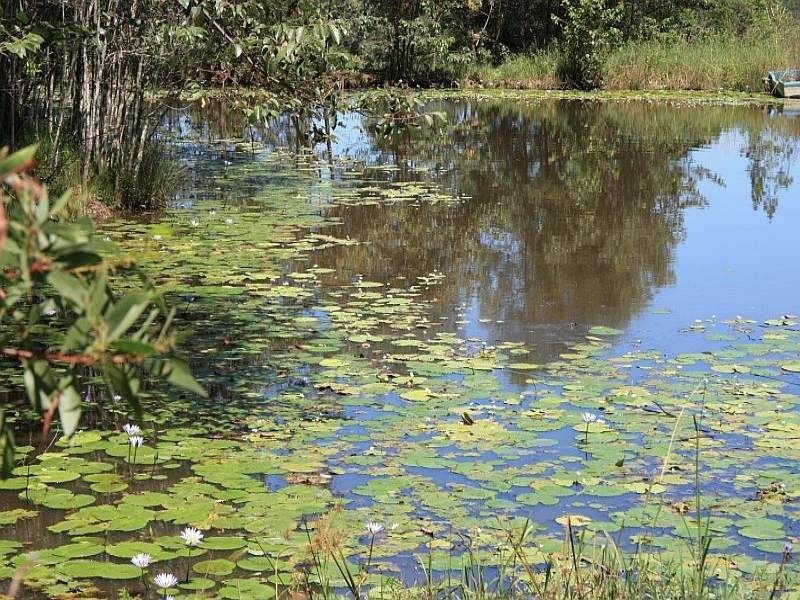 631 Old Maryborough Road, Chatsworth QLD 4570