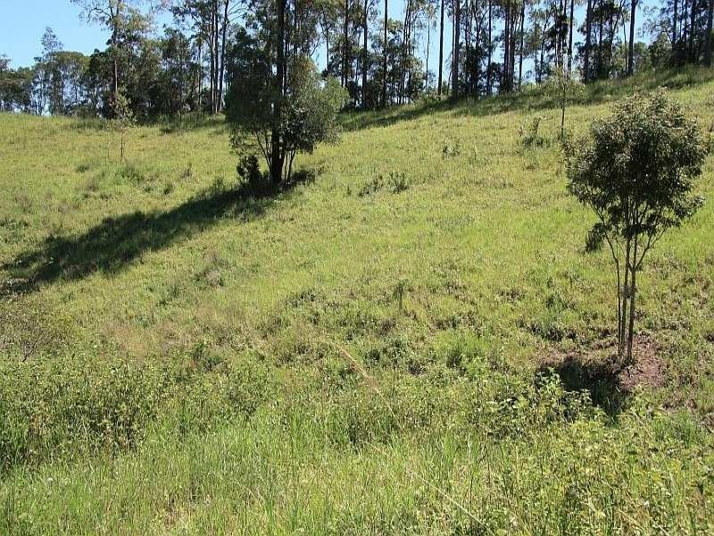 631 Old Maryborough Road, Chatsworth QLD 4570