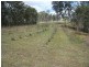 206 Banks Pocket Road, Araluen QLD 4570