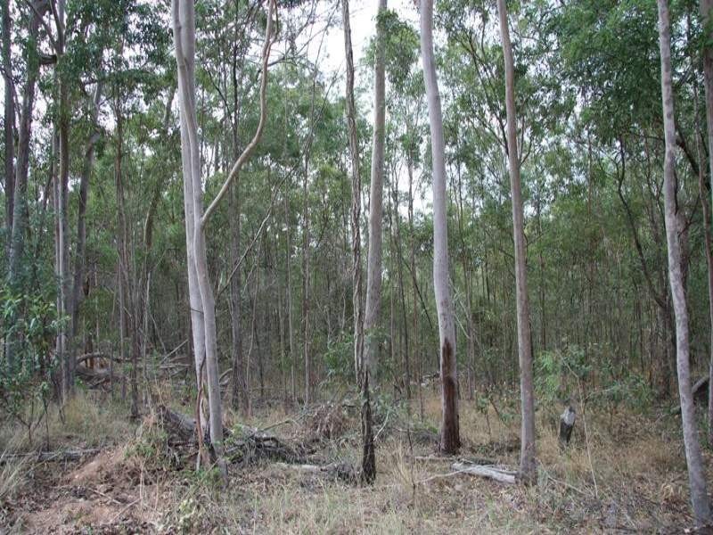 Bells Bridge QLD 4570