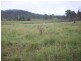 Mudlo QLD 4600