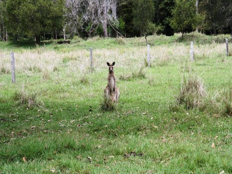 Wolvi QLD 4570