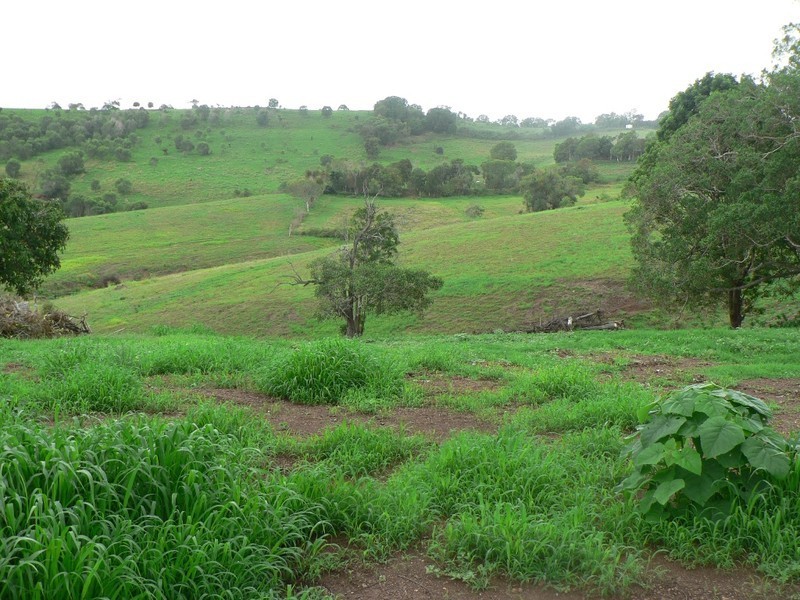 655 McIntosh Creek, Mcintosh Creek QLD 4570