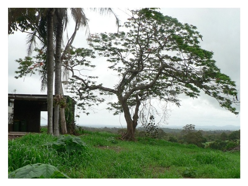 655 McIntosh Creek, Mcintosh Creek QLD 4570