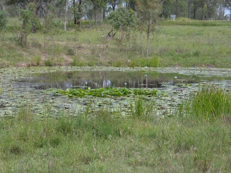 25 Moonbrook Road, Lower Wonga QLD 4570