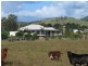 Theebine QLD 4570