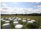 Sexton QLD 4570