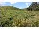 Pinbarren QLD 4568