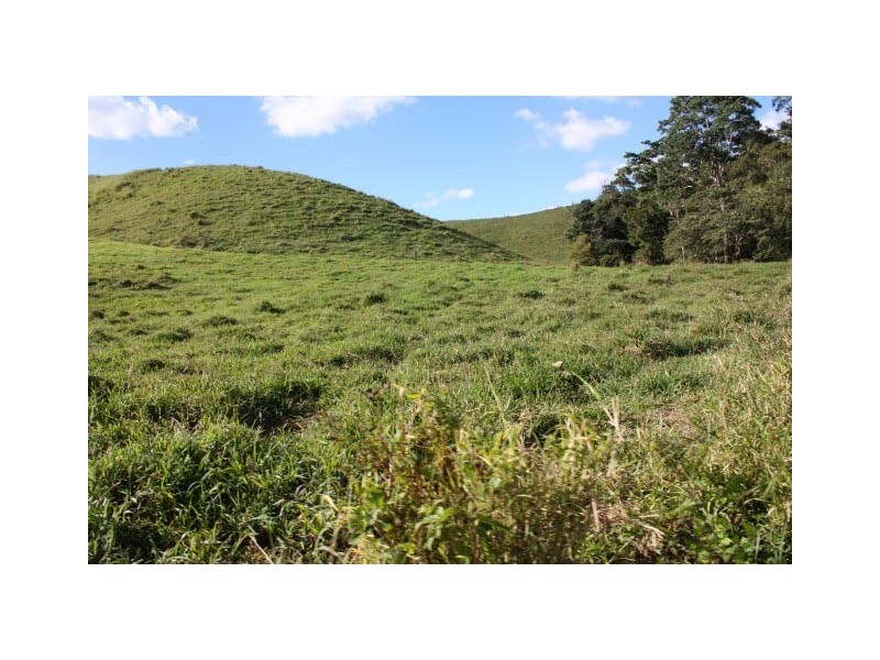 Pinbarren QLD 4568