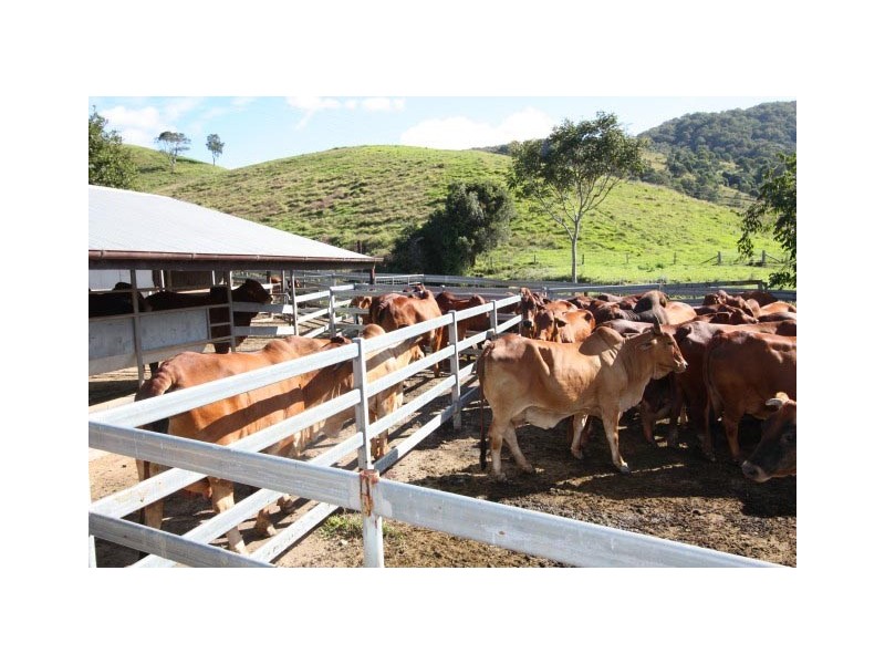 Pinbarren QLD 4568
