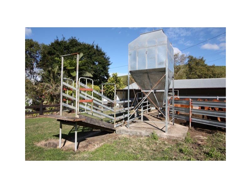 Pinbarren QLD 4568