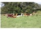 Pinbarren QLD 4568