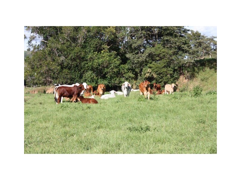 Pinbarren QLD 4568
