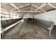 Pinbarren QLD 4568