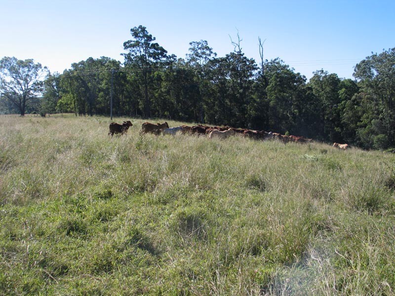 Goomboorian QLD 4570