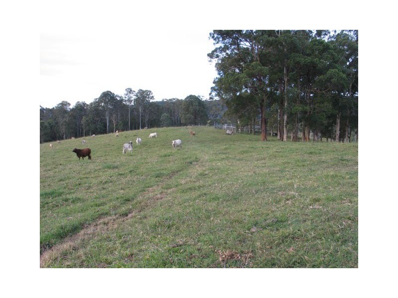 Beenaam Valley QLD 4570