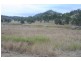 Black Snake QLD 4600