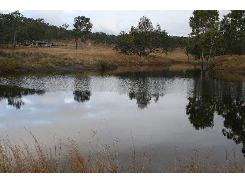 Black Snake QLD 4600