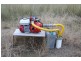 Black Snake QLD 4600