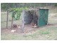 Black Snake QLD 4600