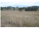 Black Snake QLD 4600